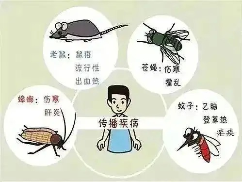 微信图片_20250428110900