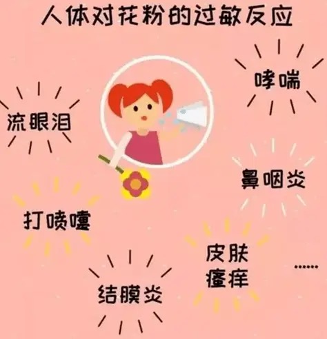 微信图片_20250428105012